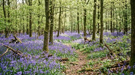 April Visitor & Travel Guide to Basildon