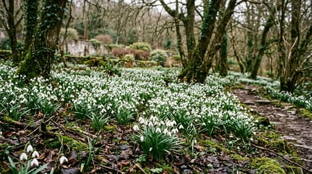 February Visitor & Travel Guide to Basildon
