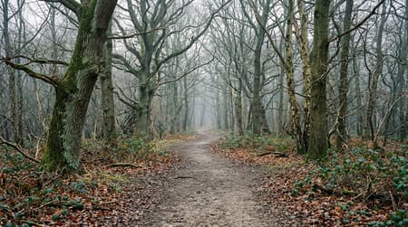 January Visitor & Travel Guide to Basildon