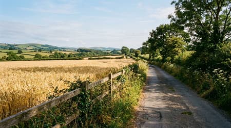 August Visitor & Travel Guide to Billericay