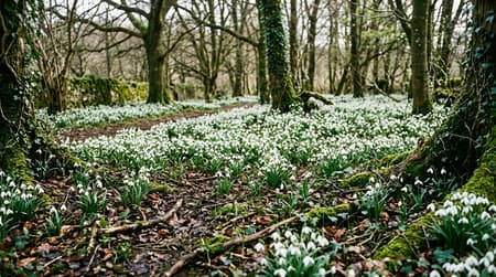 February Visitor & Travel Guide to Billericay