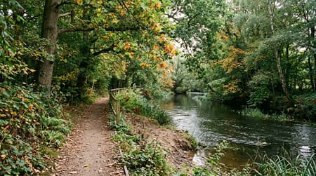 September Visitor & Travel Guide to Billericay
