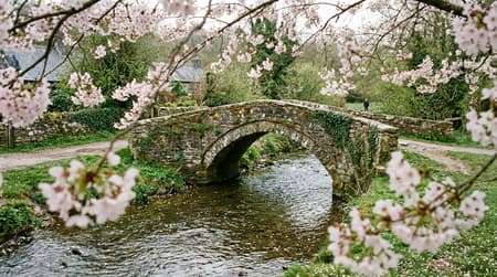 April Visitor & Travel Guide to Blaenymaes