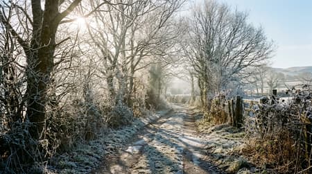 February Visitor & Travel Guide to Blaenymaes