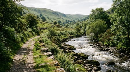 June Visitor & Travel Guide to Blaenymaes
