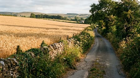 August Visitor & Travel Guide to Braintree