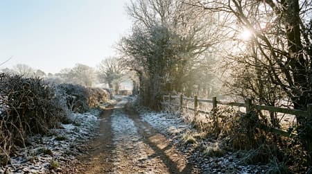 February Visitor & Travel Guide to Braintree