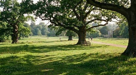 July Visitor & Travel Guide to Braintree