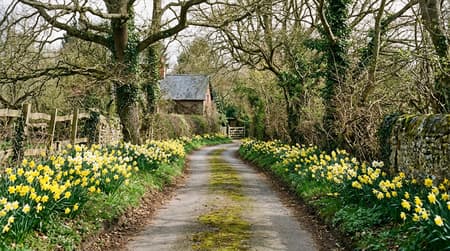 April Visitor & Travel Guide to Brentwood