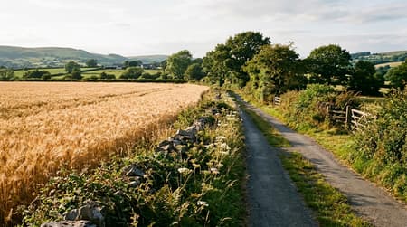 August Visitor & Travel Guide to Brentwood