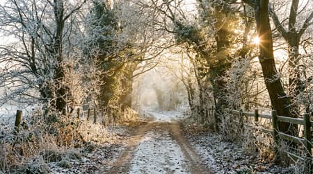 February Visitor & Travel Guide to Brentwood
