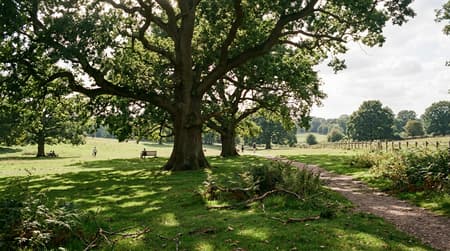 July Visitor & Travel Guide to Brentwood