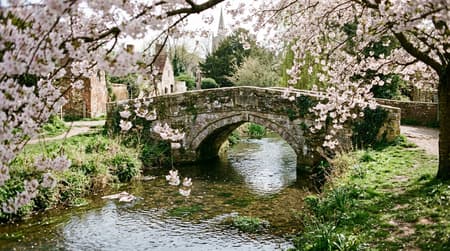 April Visitor & Travel Guide to Chelmsford