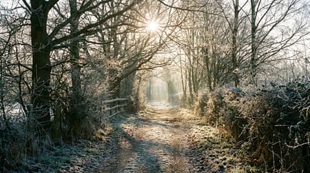 February Visitor & Travel Guide to Chelmsford