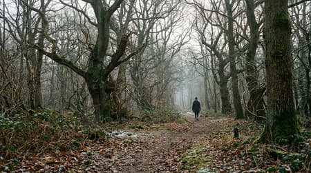 January Visitor & Travel Guide to Chelmsford