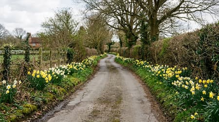 April Visitor & Travel Guide to Colchester