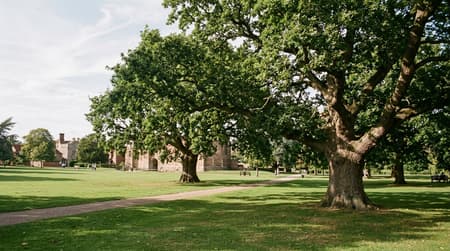 July Visitor & Travel Guide to Colchester