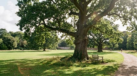 July Visitor & Travel Guide to Deal