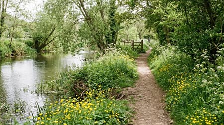 May Visitor & Travel Guide to Folkestone