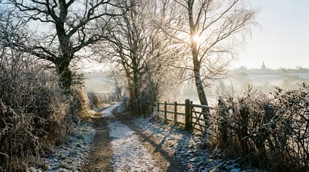 February Visitor & Travel Guide to Hadleigh