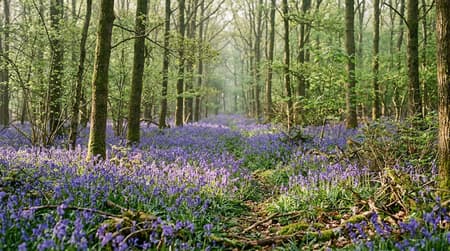 April Visitor & Travel Guide to Hatfield Peverel