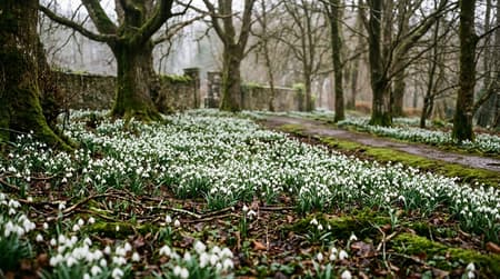 February Visitor & Travel Guide to Loughton