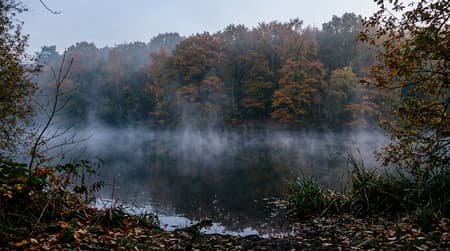 November Visitor & Travel Guide to Loughton