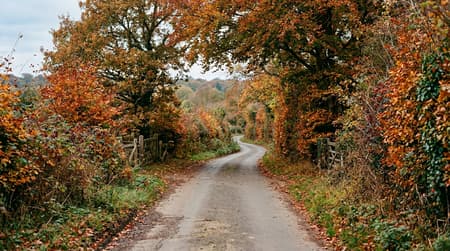 October Visitor & Travel Guide to Loughton