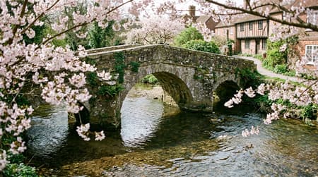 April Visitor & Travel Guide to Newbury