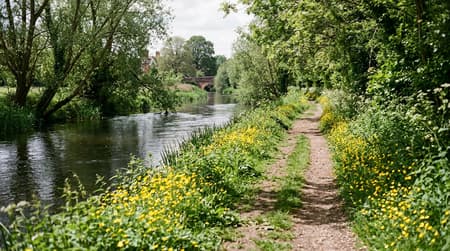 May Visitor & Travel Guide to Newbury