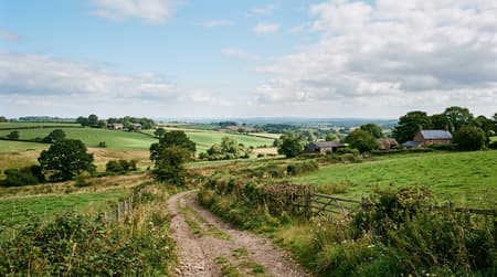 May Visitor & Travel Guide to Rayleigh