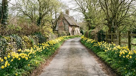 April Visitor & Travel Guide to Rochford