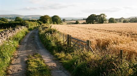 August Visitor & Travel Guide to Rochford