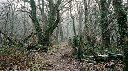 January Visitor & Travel Guide to Rochford