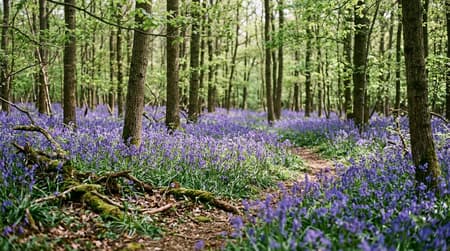 April Visitor & Travel Guide to Wickford
