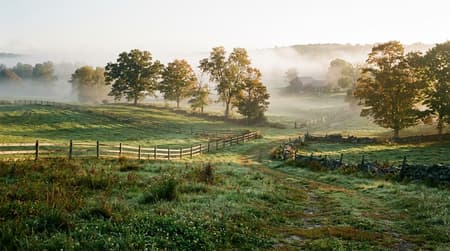 September Visitor & Travel Guide to Wickford