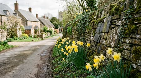 March Visitor & Travel Guide to Wroughton