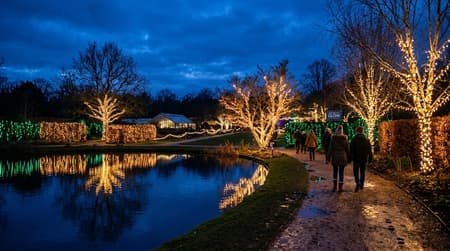 Festive light trail illuminating winter trees and water reflections at RHS Garden Hyde Hall near Chelmsford, Essex.