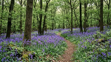 April Visitor & Travel Guide to Redbridge