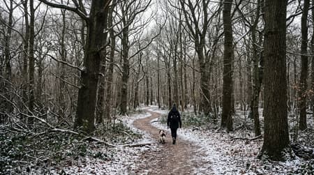 January Visitor & Travel Guide to Redbridge