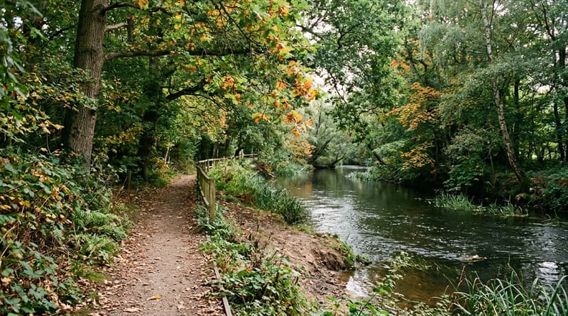 September Visitor & Travel Guide to Billericay