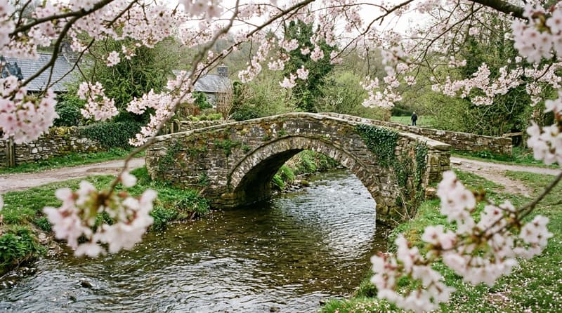 April Visitor & Travel Guide to Blaenymaes