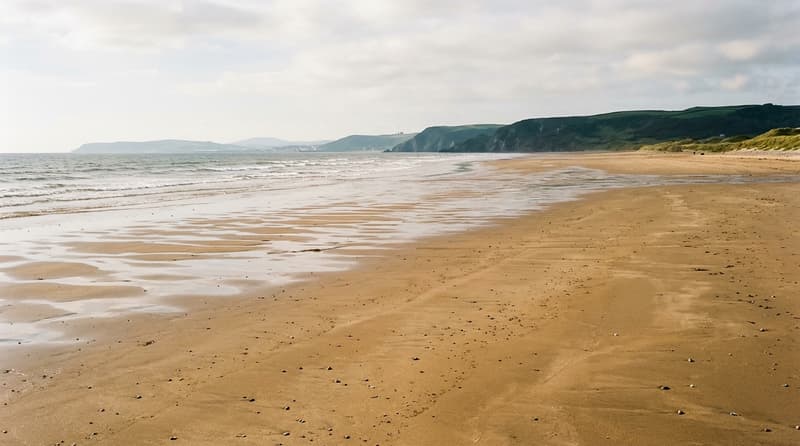 March Visitor & Travel Guide to Blaenymaes