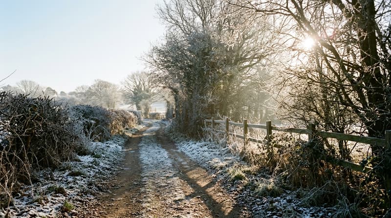 February Visitor & Travel Guide to Braintree