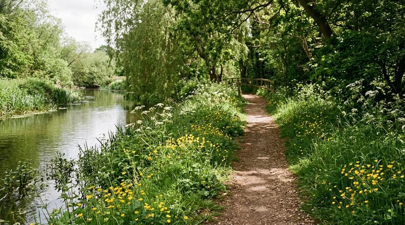 May Visitor & Travel Guide to Braintree
