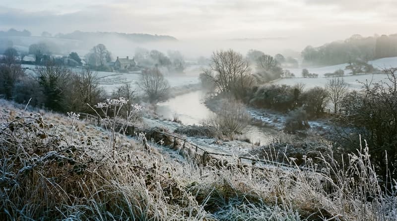 January Visitor & Travel Guide to Brentwood