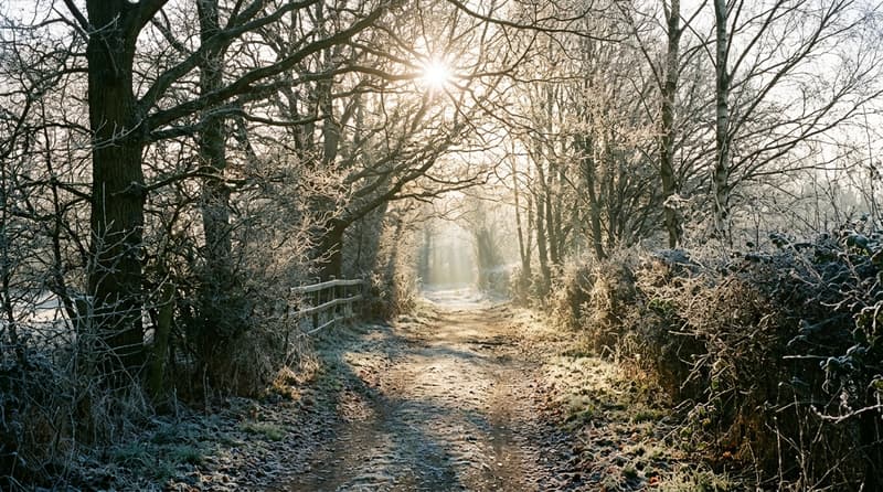 February Visitor & Travel Guide to Chelmsford