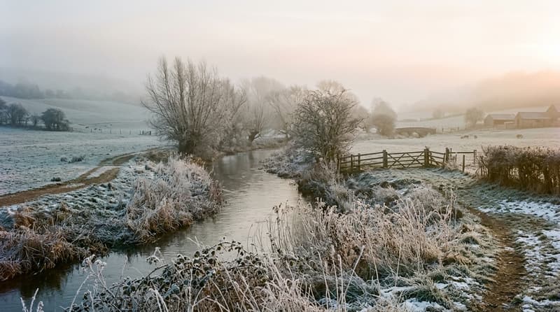 January Visitor & Travel Guide to Deal