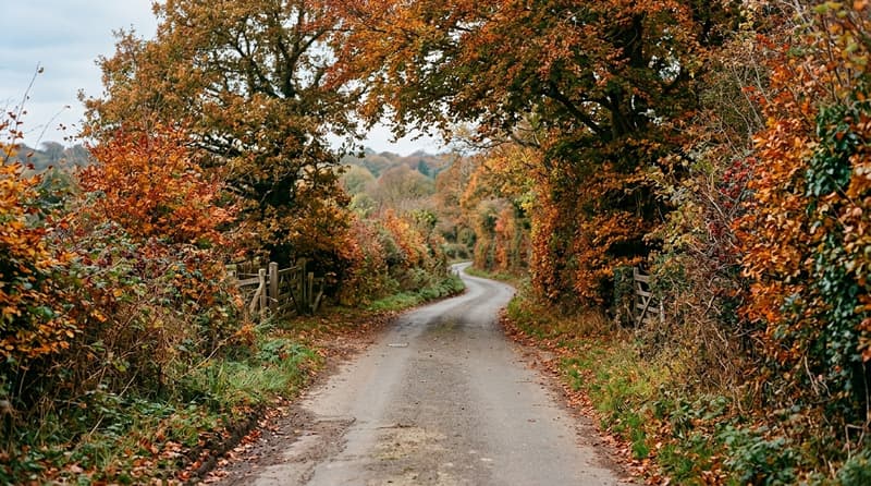 October Visitor & Travel Guide to Loughton