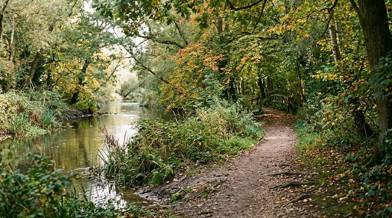 September Visitor & Travel Guide to Loughton